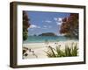 Pohutukawa Tree in Bloom and Hahei, Coromandel Peninsula, North Island, New Zealand-David Wall-Framed Premium Photographic Print