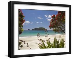 Pohutukawa Tree in Bloom and Hahei, Coromandel Peninsula, North Island, New Zealand-David Wall-Framed Premium Photographic Print