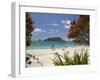 Pohutukawa Tree in Bloom and Hahei, Coromandel Peninsula, North Island, New Zealand-David Wall-Framed Premium Photographic Print