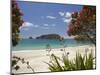 Pohutukawa Tree in Bloom and Hahei, Coromandel Peninsula, North Island, New Zealand-David Wall-Mounted Premium Photographic Print