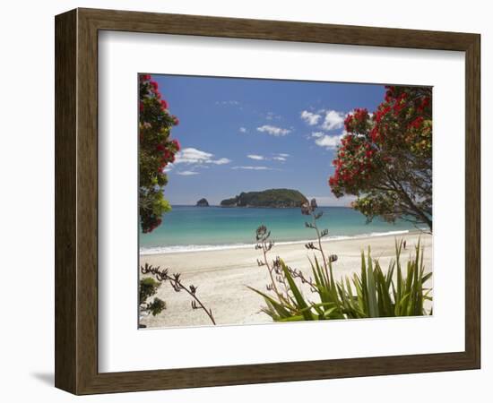 Pohutukawa Tree in Bloom and Hahei, Coromandel Peninsula, North Island, New Zealand-David Wall-Framed Photographic Print