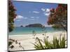 Pohutukawa Tree in Bloom and Hahei, Coromandel Peninsula, North Island, New Zealand-David Wall-Mounted Photographic Print