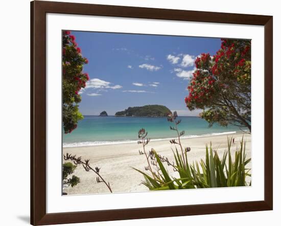 Pohutukawa Tree in Bloom and Hahei, Coromandel Peninsula, North Island, New Zealand-David Wall-Framed Photographic Print