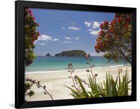 Pohutukawa Tree in Bloom and Hahei, Coromandel Peninsula, North Island, New Zealand-David Wall-Framed Photographic Print