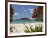 Pohutukawa Tree in Bloom and Hahei, Coromandel Peninsula, North Island, New Zealand-David Wall-Framed Photographic Print