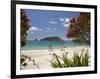 Pohutukawa Tree in Bloom and Hahei, Coromandel Peninsula, North Island, New Zealand-David Wall-Framed Photographic Print