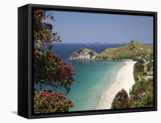 Pohutukawa Tree in Bloom and Hahei, Coromandel Peninsula, North Island, New Zealand-David Wall-Framed Stretched Canvas