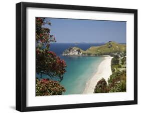 Pohutukawa Tree in Bloom and Hahei, Coromandel Peninsula, North Island, New Zealand-David Wall-Framed Photographic Print