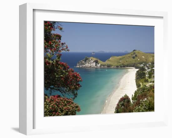 Pohutukawa Tree in Bloom and Hahei, Coromandel Peninsula, North Island, New Zealand-David Wall-Framed Photographic Print