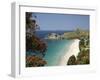 Pohutukawa Tree in Bloom and Hahei, Coromandel Peninsula, North Island, New Zealand-David Wall-Framed Photographic Print