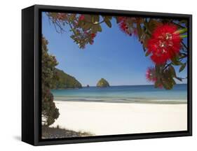 Pohutukawa Tree in Bloom and New Chums Beach, Coromandel Peninsula, North Island, New Zealand-David Wall-Framed Stretched Canvas