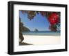 Pohutukawa Tree in Bloom and New Chums Beach, Coromandel Peninsula, North Island, New Zealand-David Wall-Framed Photographic Print