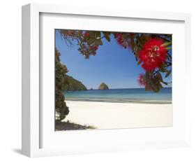 Pohutukawa Tree in Bloom and New Chums Beach, Coromandel Peninsula, North Island, New Zealand-David Wall-Framed Photographic Print