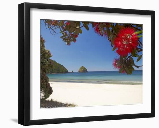 Pohutukawa Tree in Bloom and New Chums Beach, Coromandel Peninsula, North Island, New Zealand-David Wall-Framed Photographic Print