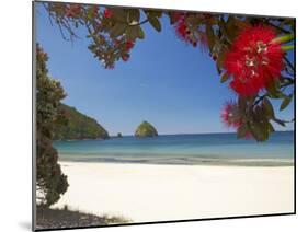 Pohutukawa Tree in Bloom and New Chums Beach, Coromandel Peninsula, North Island, New Zealand-David Wall-Mounted Photographic Print