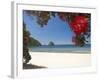 Pohutukawa Tree in Bloom and New Chums Beach, Coromandel Peninsula, North Island, New Zealand-David Wall-Framed Photographic Print