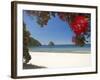 Pohutukawa Tree in Bloom and New Chums Beach, Coromandel Peninsula, North Island, New Zealand-David Wall-Framed Photographic Print