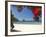 Pohutukawa Tree in Bloom and New Chums Beach, Coromandel Peninsula, North Island, New Zealand-David Wall-Framed Photographic Print