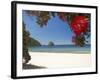 Pohutukawa Tree in Bloom and New Chums Beach, Coromandel Peninsula, North Island, New Zealand-David Wall-Framed Photographic Print