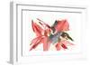 Poinsettia, 2003-Claudia Hutchins-Puechavy-Framed Giclee Print