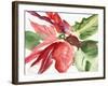 Poinsettia, 2003-Claudia Hutchins-Puechavy-Framed Giclee Print