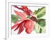 Poinsettia, 2003-Claudia Hutchins-Puechavy-Framed Giclee Print