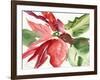 Poinsettia, 2003-Claudia Hutchins-Puechavy-Framed Giclee Print