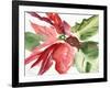 Poinsettia, 2003-Claudia Hutchins-Puechavy-Framed Giclee Print