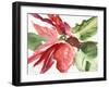 Poinsettia, 2003-Claudia Hutchins-Puechavy-Framed Giclee Print