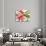 Poinsettia, 2003-Claudia Hutchins-Puechavy-Giclee Print displayed on a wall