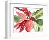 Poinsettia, 2003-Claudia Hutchins-Puechavy-Framed Premium Giclee Print