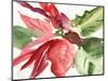 Poinsettia, 2003-Claudia Hutchins-Puechavy-Mounted Premium Giclee Print