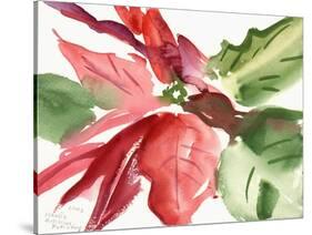 Poinsettia, 2003-Claudia Hutchins-Puechavy-Stretched Canvas