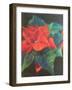 Poinsettia, 2022 (Pastel)-Margo Starkey-Framed Giclee Print