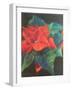 Poinsettia, 2022 (Pastel)-Margo Starkey-Framed Giclee Print