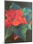 Poinsettia, 2022 (Pastel)-Margo Starkey-Mounted Giclee Print