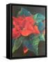 Poinsettia, 2022 (Pastel)-Margo Starkey-Framed Stretched Canvas