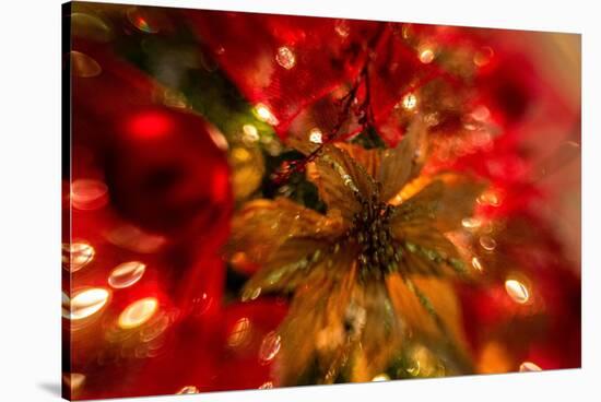 Poinsettia 2-Janet Slater-Stretched Canvas