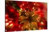 Poinsettia 2-Janet Slater-Stretched Canvas