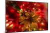 Poinsettia 2-Janet Slater-Mounted Photographic Print