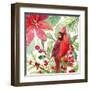 Poinsettia and Cardinal I-Lanie Loreth-Framed Art Print