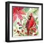 Poinsettia and Cardinal I-Lanie Loreth-Framed Art Print