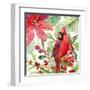 Poinsettia and Cardinal I-Lanie Loreth-Framed Art Print