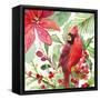 Poinsettia and Cardinal I-Lanie Loreth-Framed Stretched Canvas