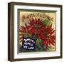 Poinsettia Brand - Fillmore, California - Citrus Crate Label-Lantern Press-Framed Art Print