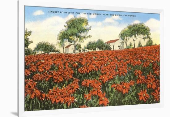 Poinsettia Field, Carlsbad, San Diego County, California-null-Framed Art Print