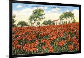 Poinsettia Field, Carlsbad, San Diego County, California-null-Framed Art Print