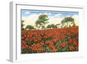 Poinsettia Field, Carlsbad, San Diego County, California-null-Framed Art Print