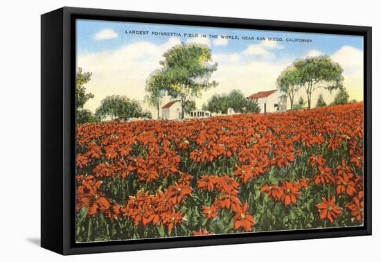 Poinsettia Field, Carlsbad, San Diego County, California-null-Framed Stretched Canvas