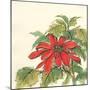 Poinsettia I-Chris Paschke-Mounted Art Print